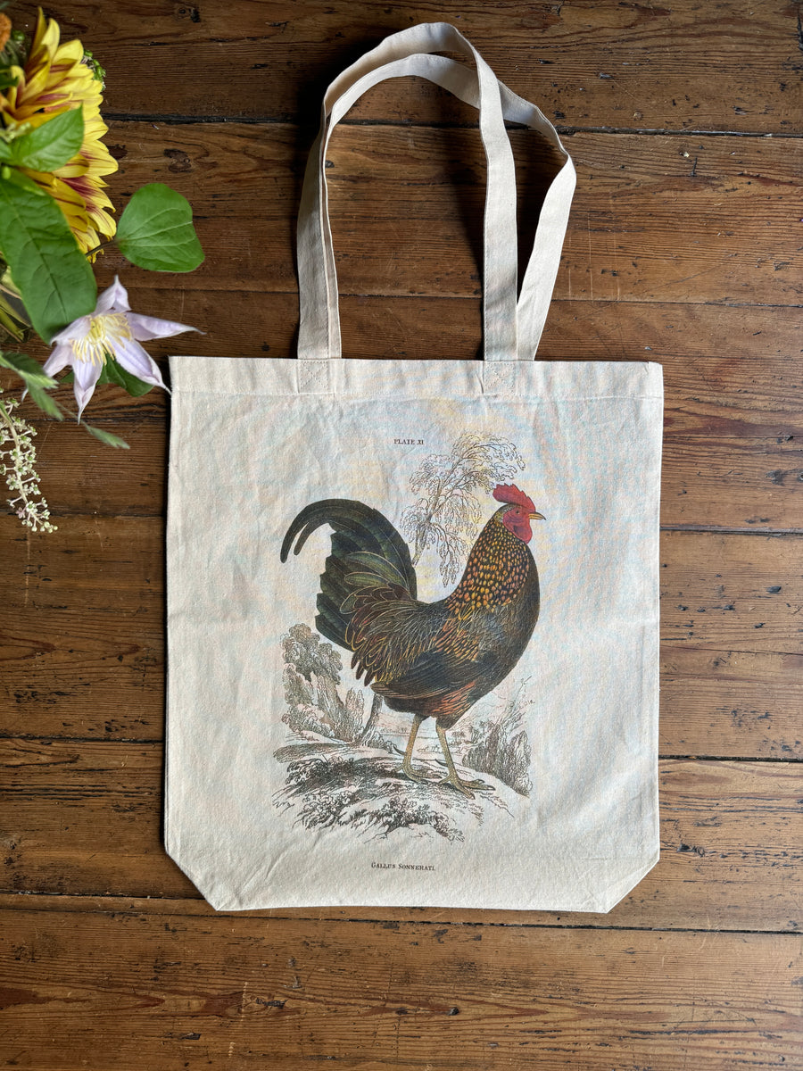 Bolsa ilustración- Gallo