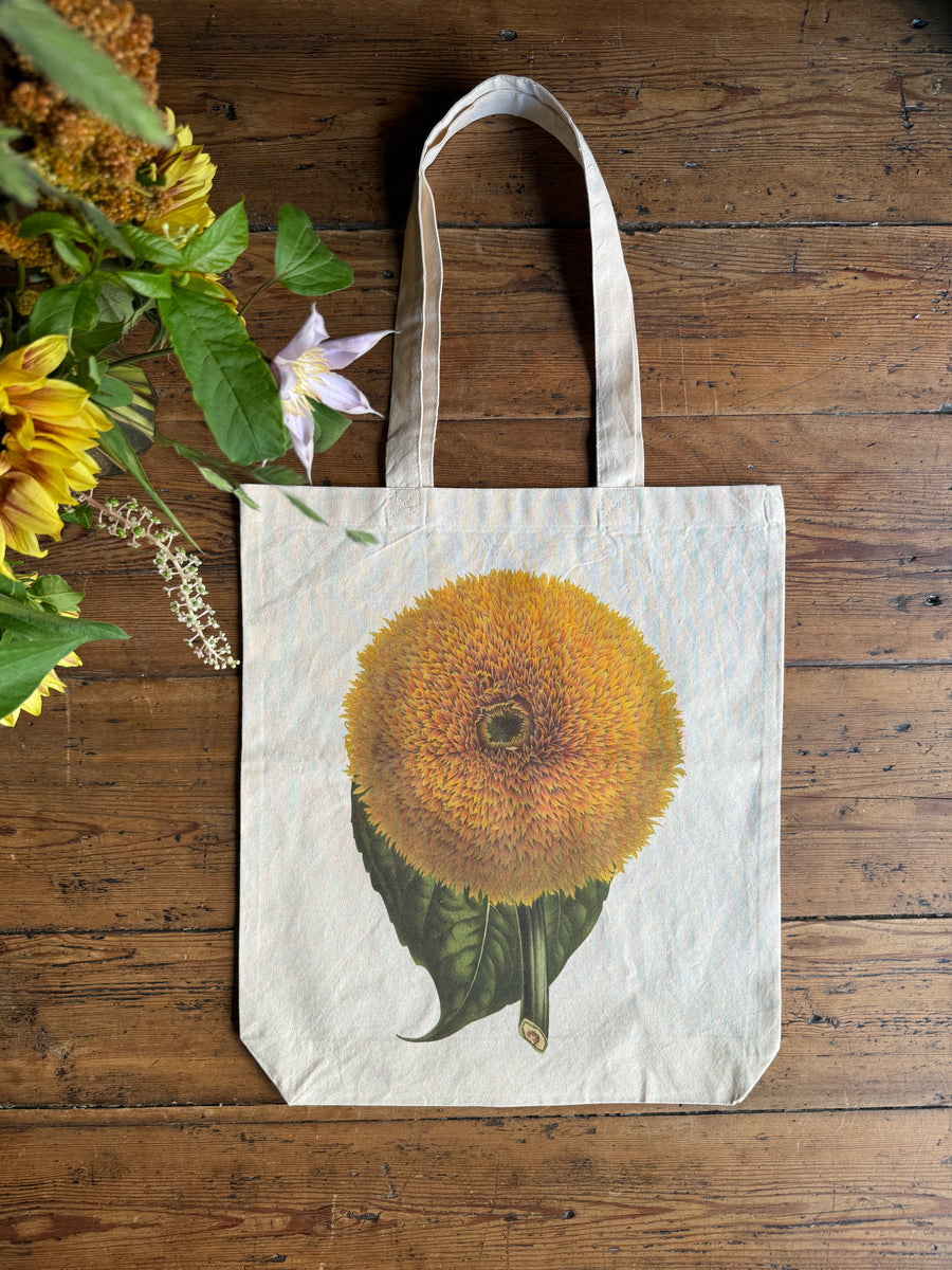 Bolsa ilustración botánica- Girasol