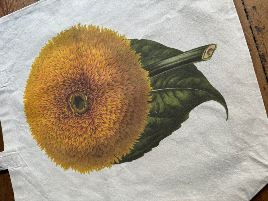 Bolsa ilustración botánica- Girasol