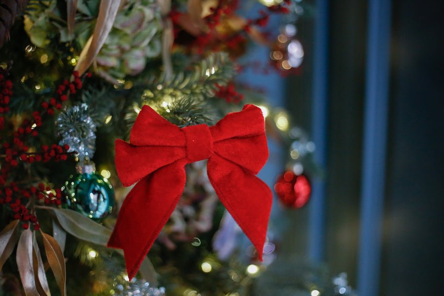 Lazo de terciopelo rojo